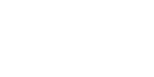 WPT logo