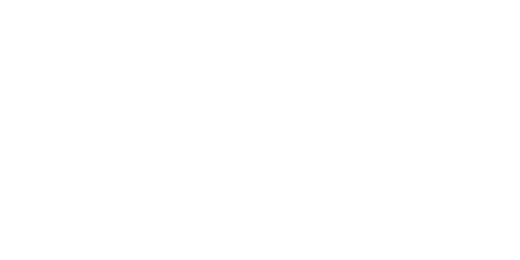 SYNOTtip logo