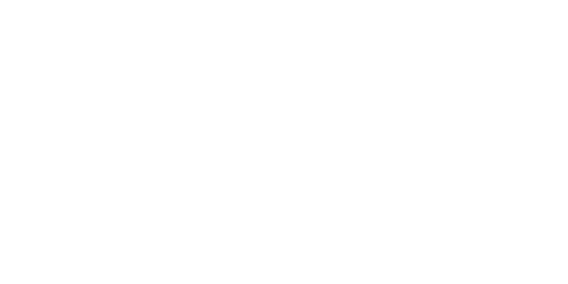 Borneo logo