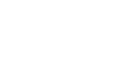 Finix Casino logo