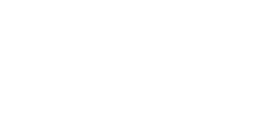 Merit International logo