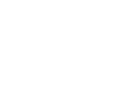 Viva Casino